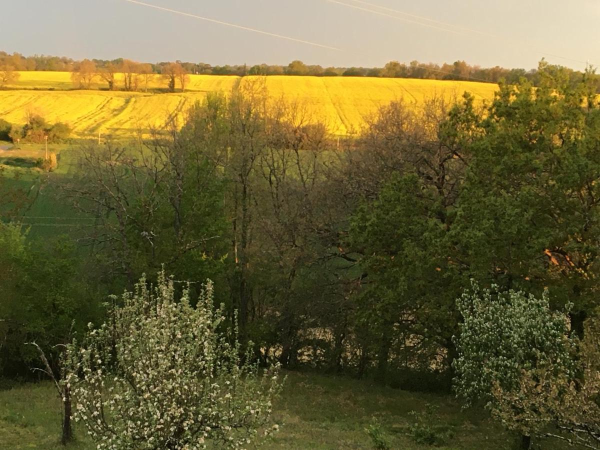 Bed and Breakfast Maison Dougnac Fleurance Zewnętrze zdjęcie